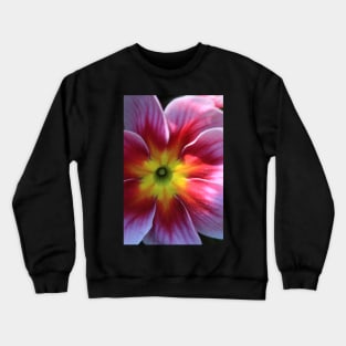 Vibrant Primula Crewneck Sweatshirt